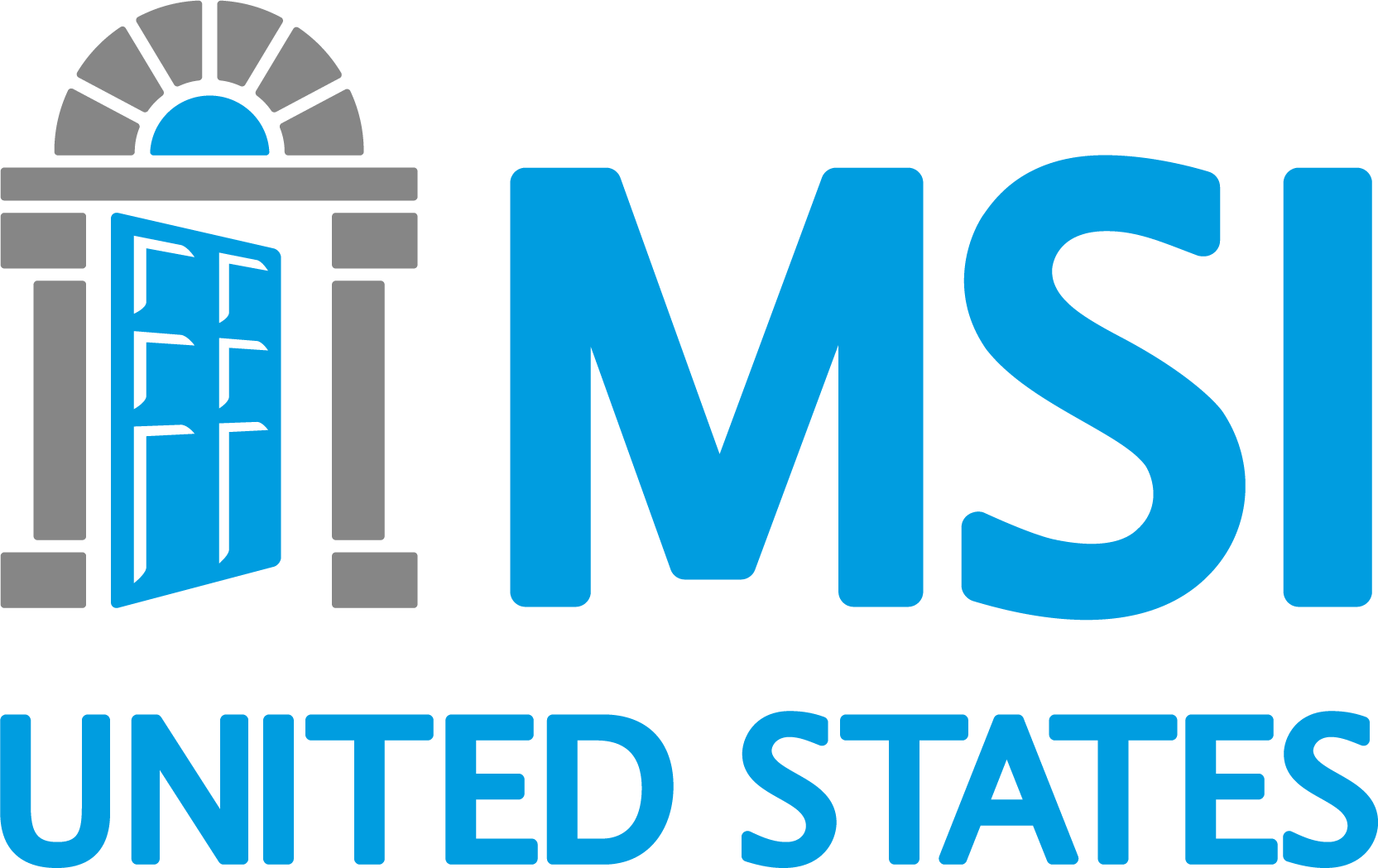 MSI USA Logo