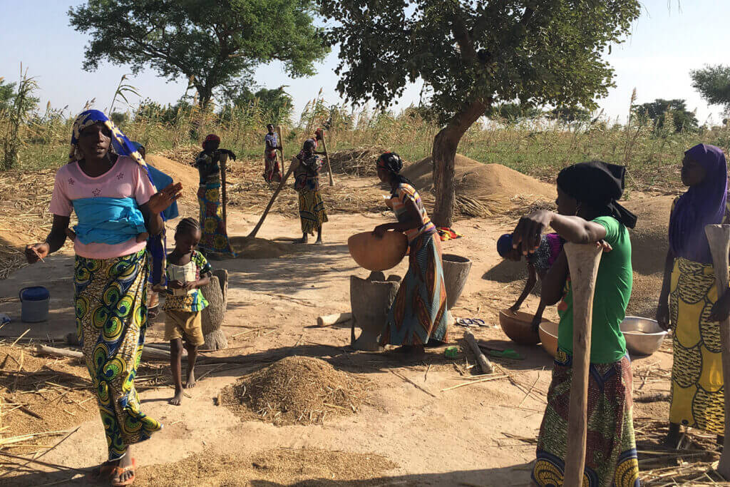 A group of women does agricultural work in a dusty field.